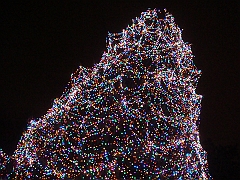 073 Toledo Zoo Light Show [2008 Dec 27]